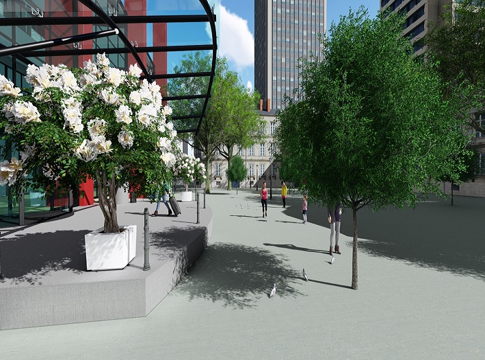 Courtyard and flower bed